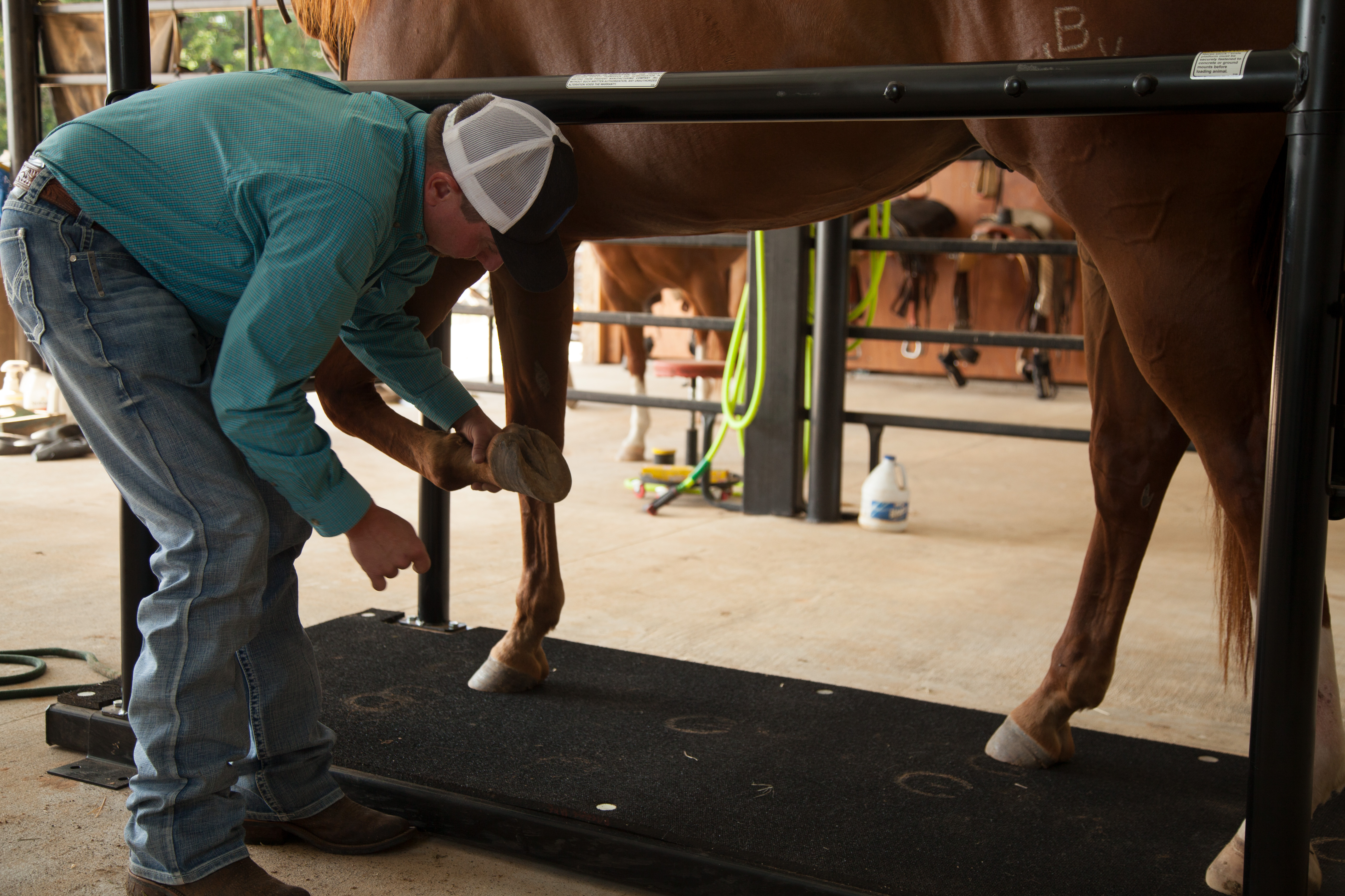 HS HorseStock Bynum 18.jpg